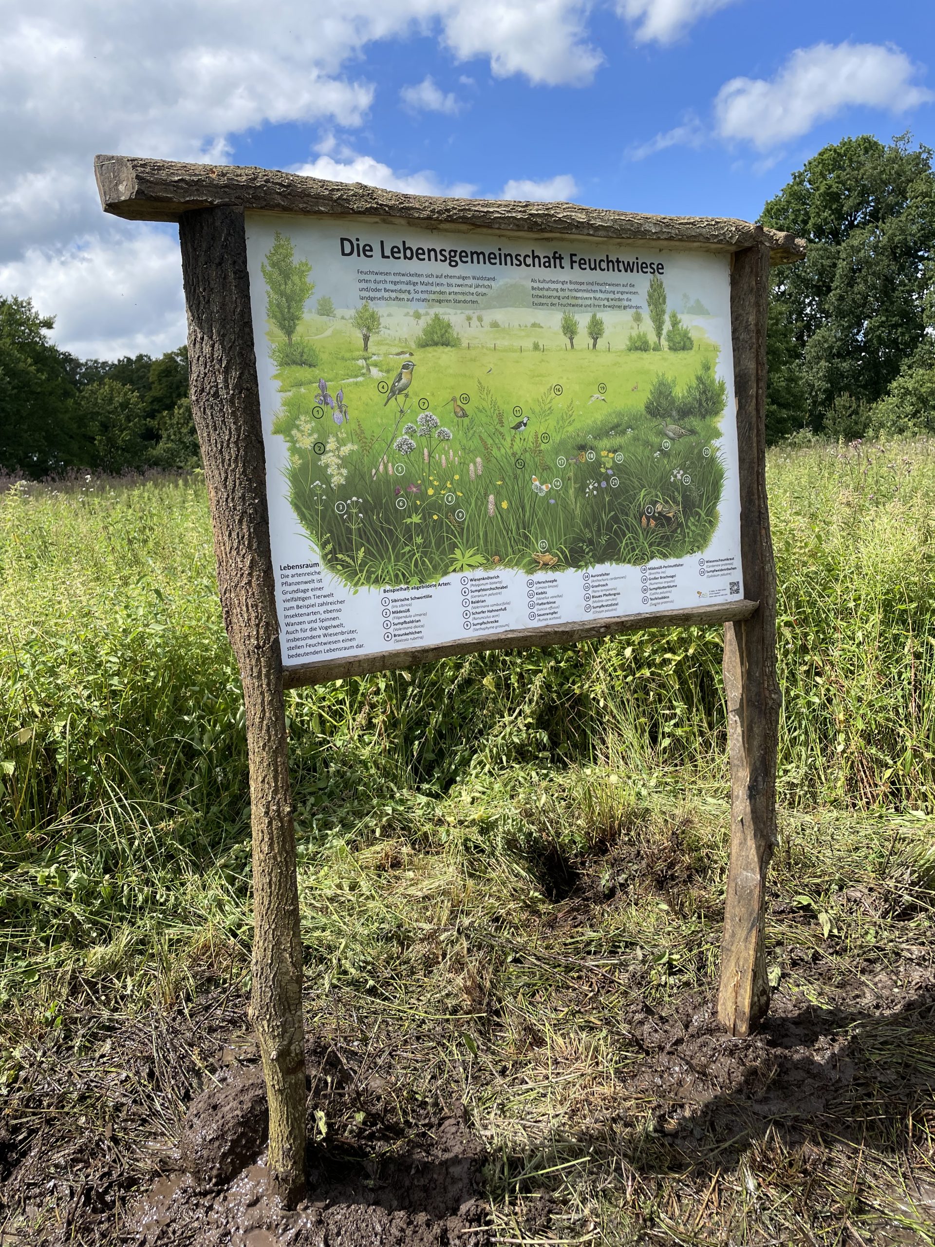 Schautafel