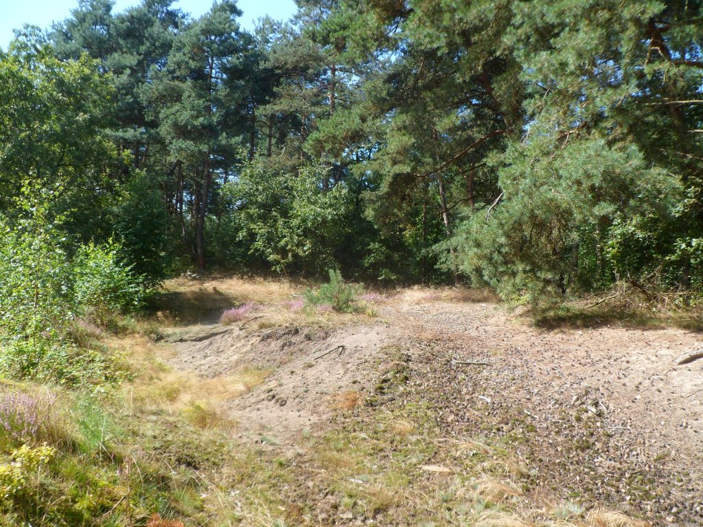 Kleine Sandgrabung