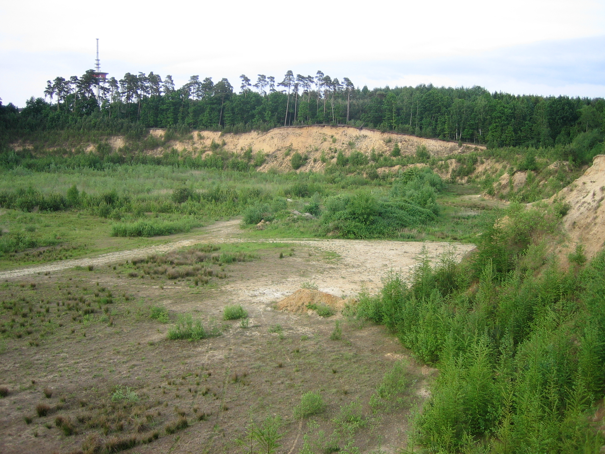 Sandgrube im Jahr 2010