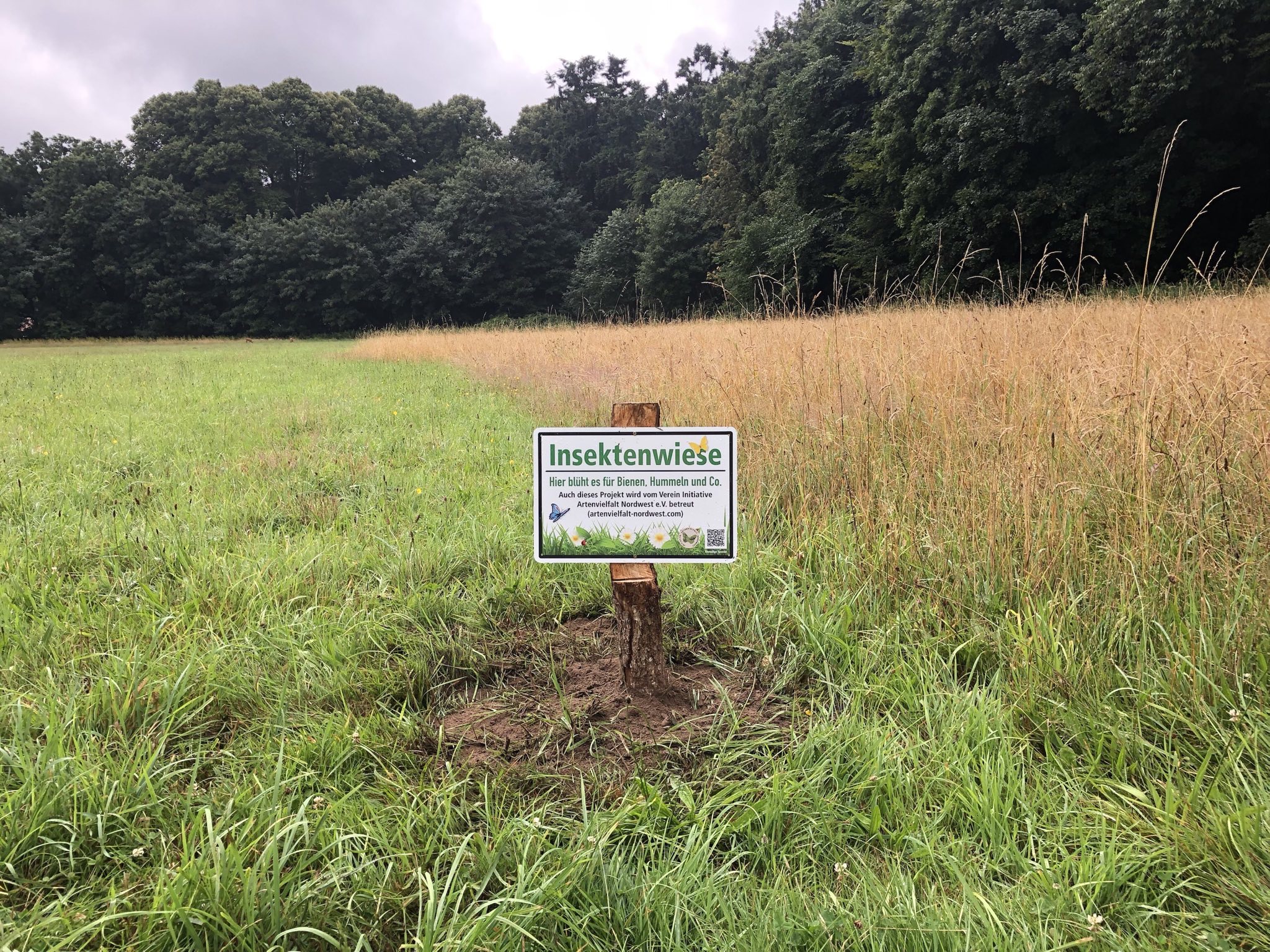 Mähwiese mit Schild