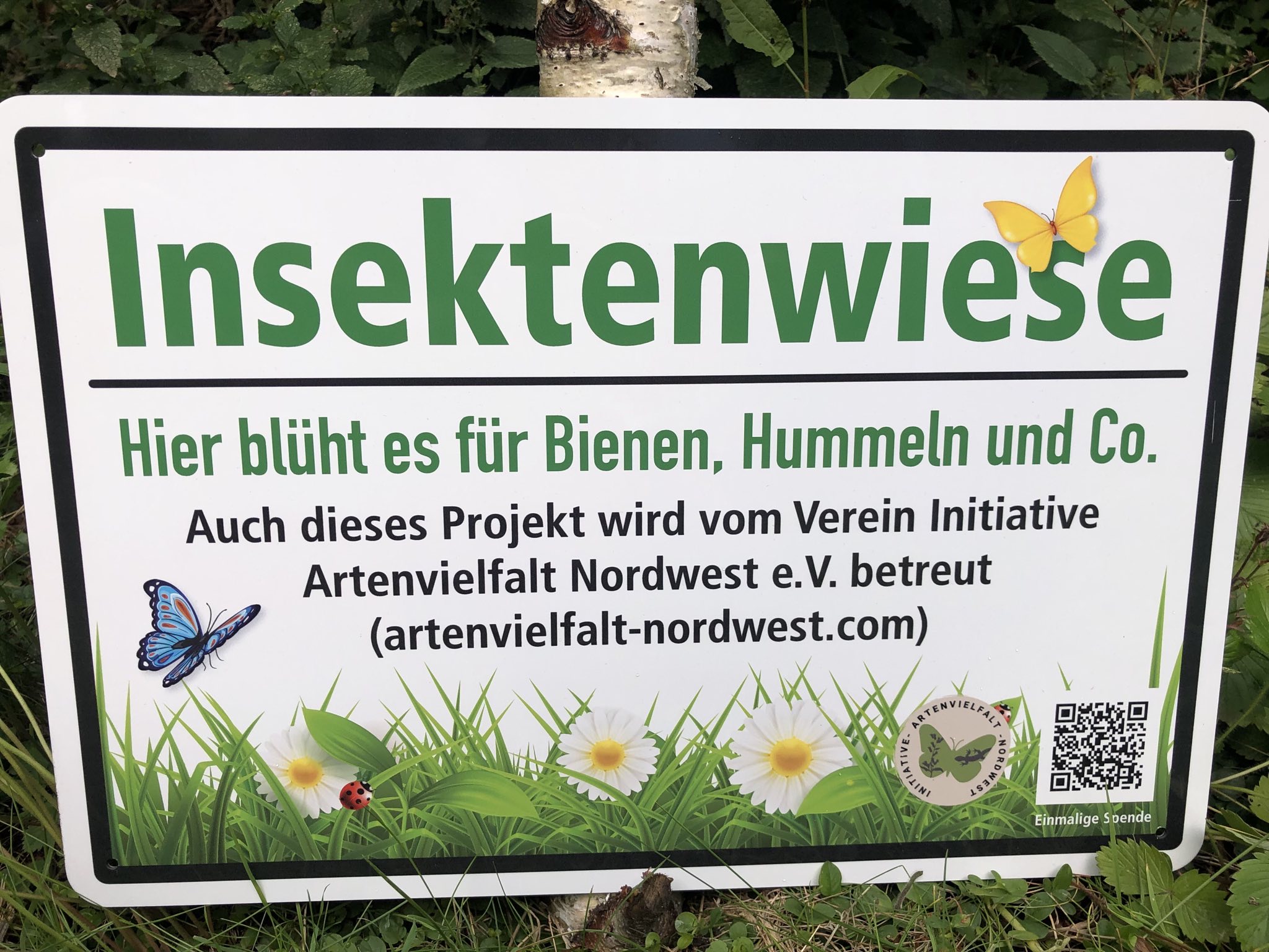 Schild Insektenwiese