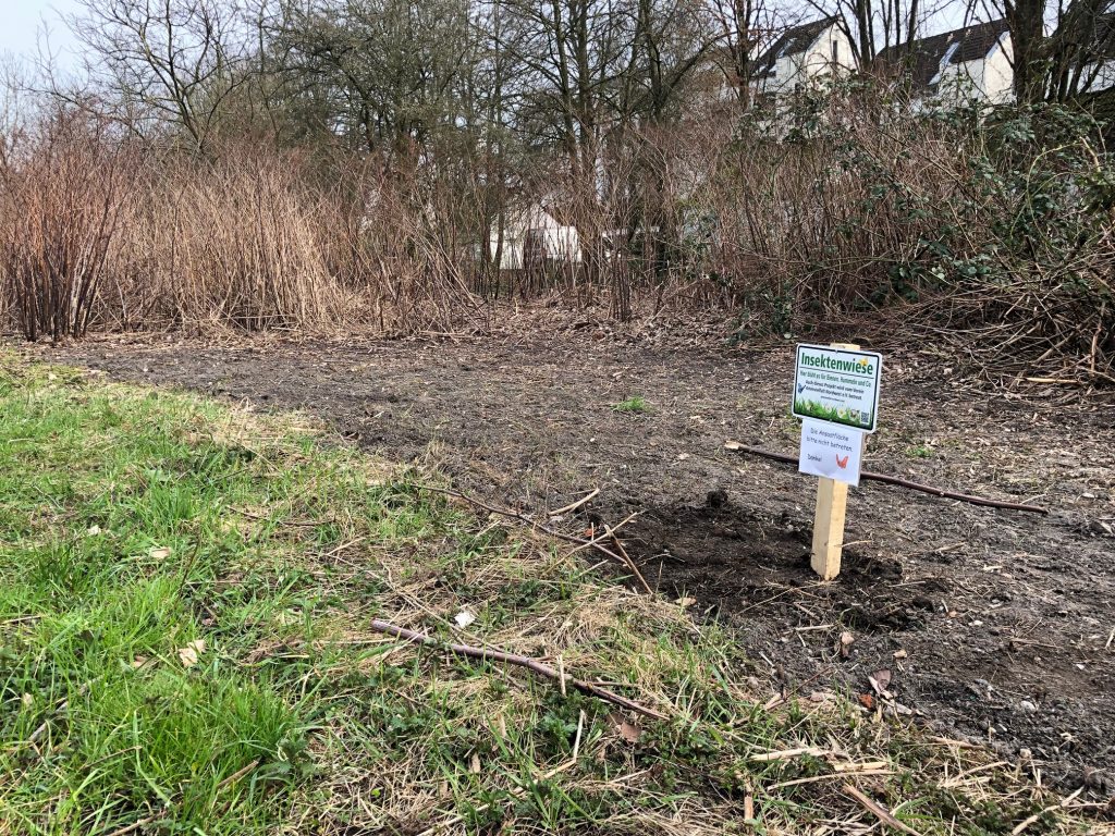 Magdalene-Thimme-Weg ohne Knöterich